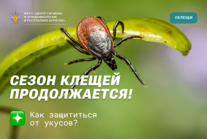 Защитит от клещей - правильная одежда